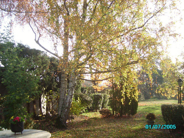 Hemvistelse Angers 15444