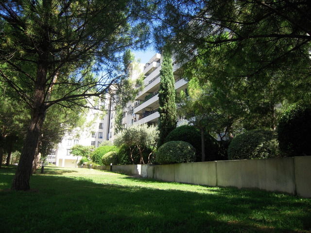 Colocation Montpellier 12483