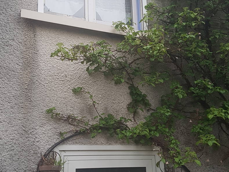 Gastfamilie Éragny 361551-2