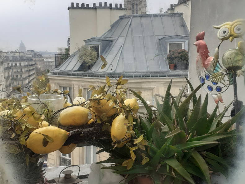 Logement Entier Paris 480485-1