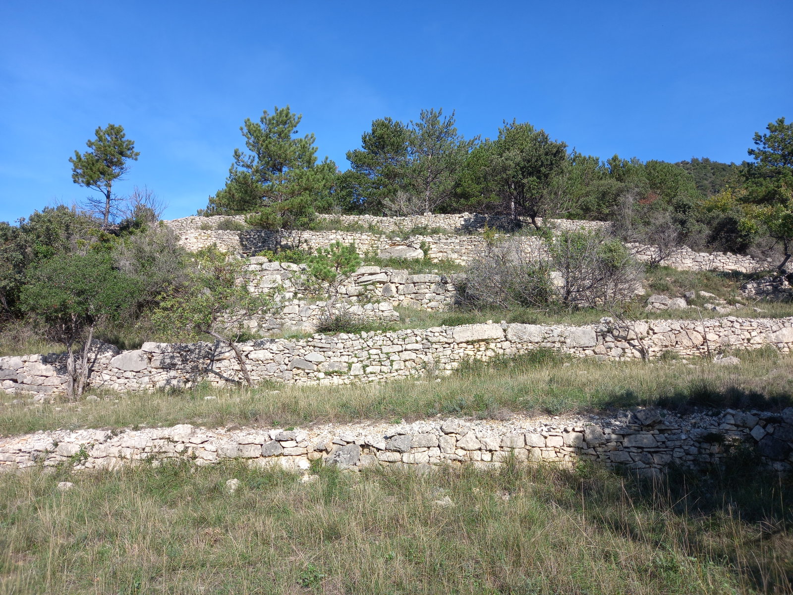 Shared Housing Soubès 316676