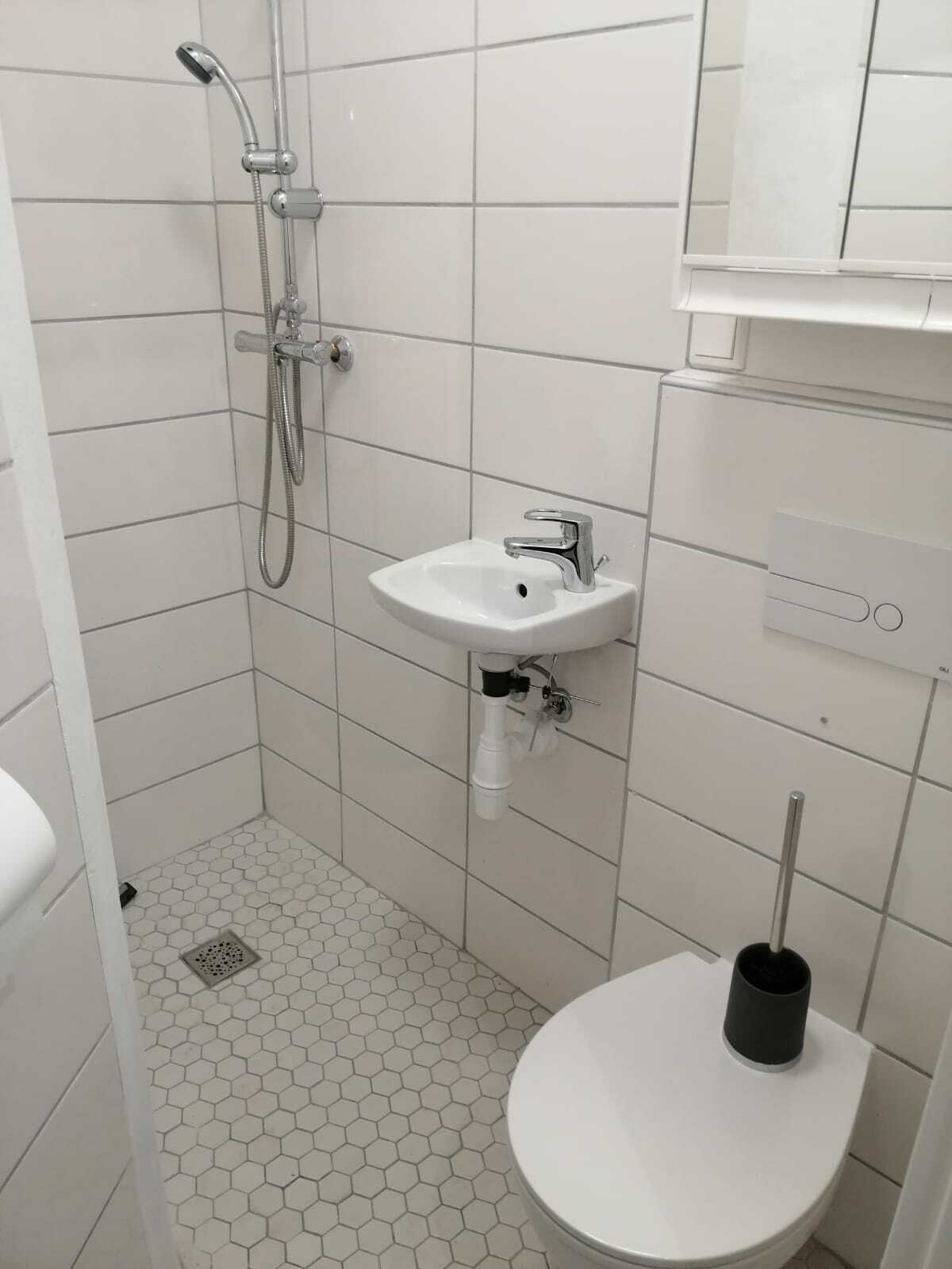 Logement Entier Esch-sur-Alzette 261149