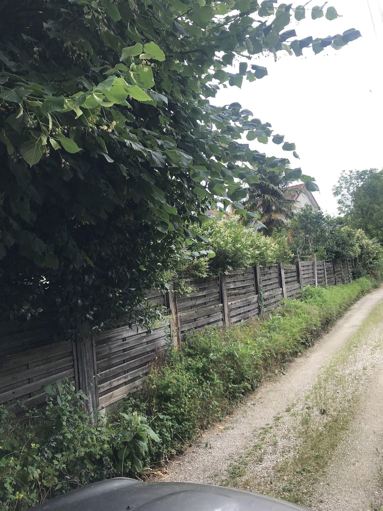 Gästezimmer Le Perreux-sur-Marne 393577