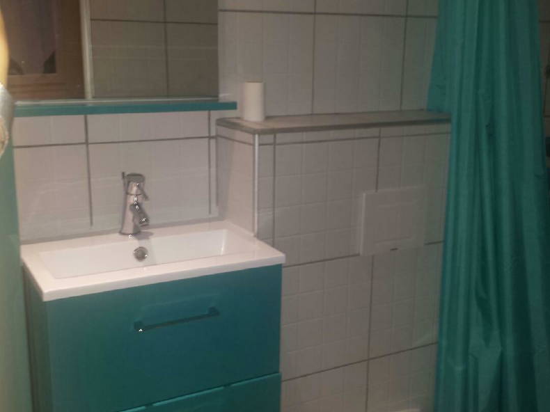 Ganzes Haus Saint-Julien-en-Genevois 247541-3