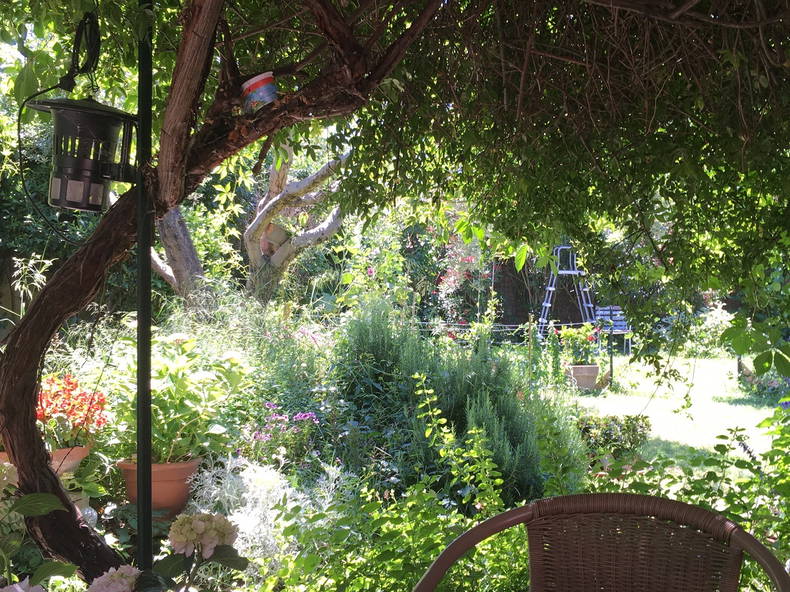 Gehele Woning Tarascon 237596-3