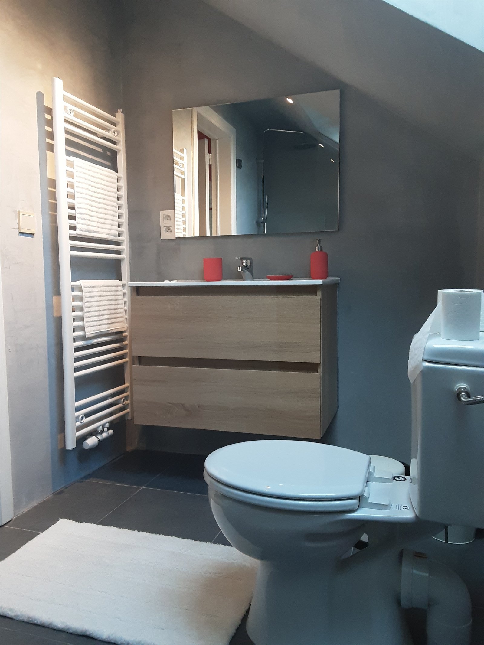 Gastfamilie Wavre 239938