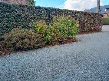 Logement Entier Bertrix 240017-11