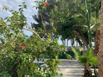 Estudio En Alquiler Alberique 567141