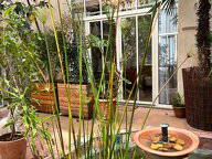 Shared Accommodation Montpellier 608903-1