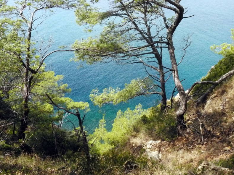 Entire Home Le Castellet 82397-5