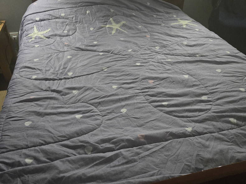 Entire Home Brétigny-sur-Orge 433011-2