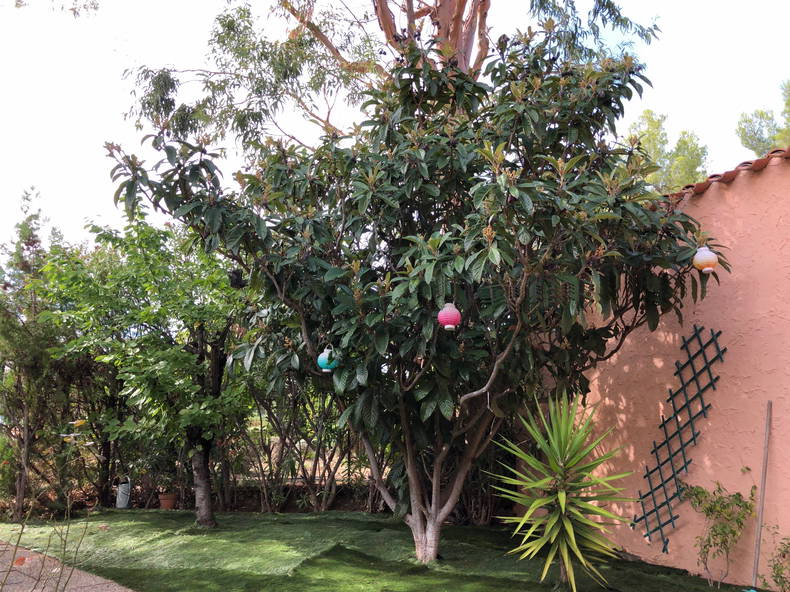 Entire Home Saint-Cyr-sur-Mer 68147-5