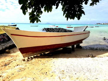 Logement Entier Cap Malheureux 224621-10