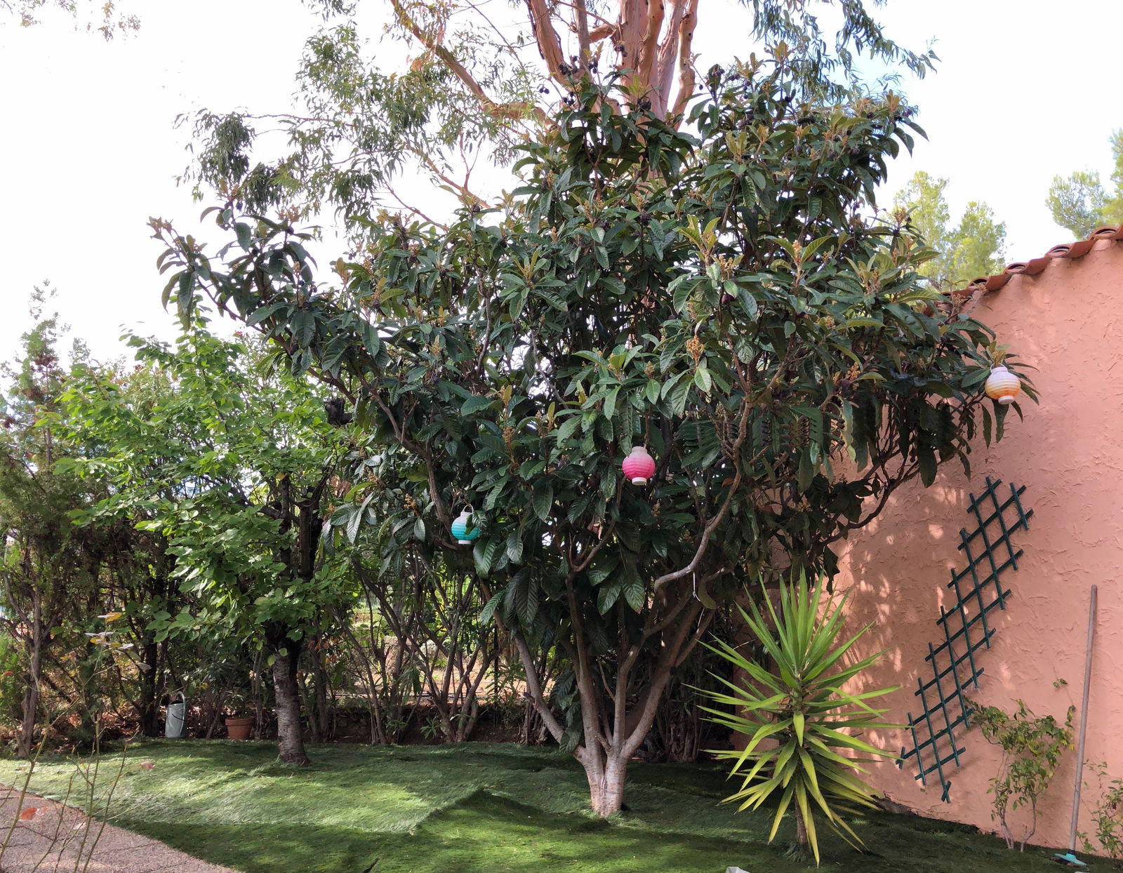 Tutta La Casa Saint-Cyr-sur-Mer 68147