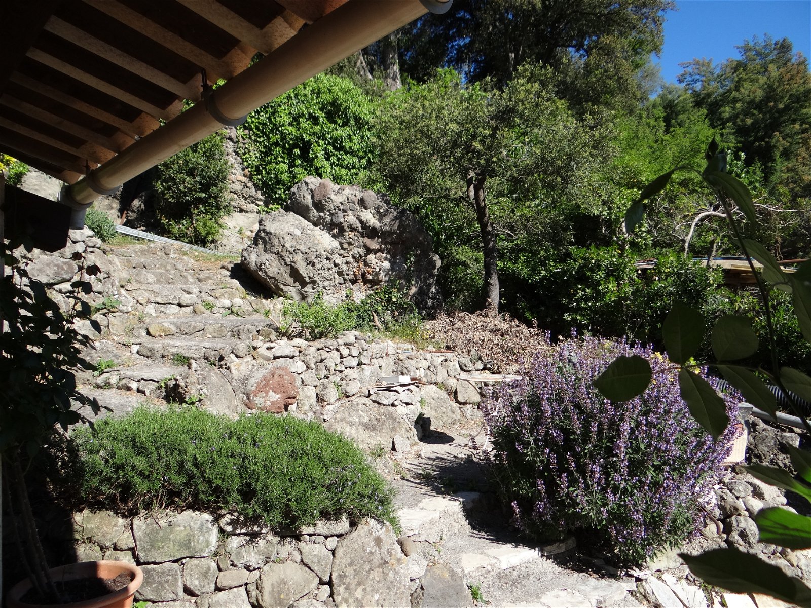 Onafhankelijke Studio Biot 206679