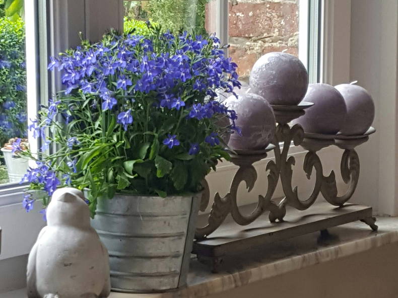 Chambres D'hôtes Dury 160886-1