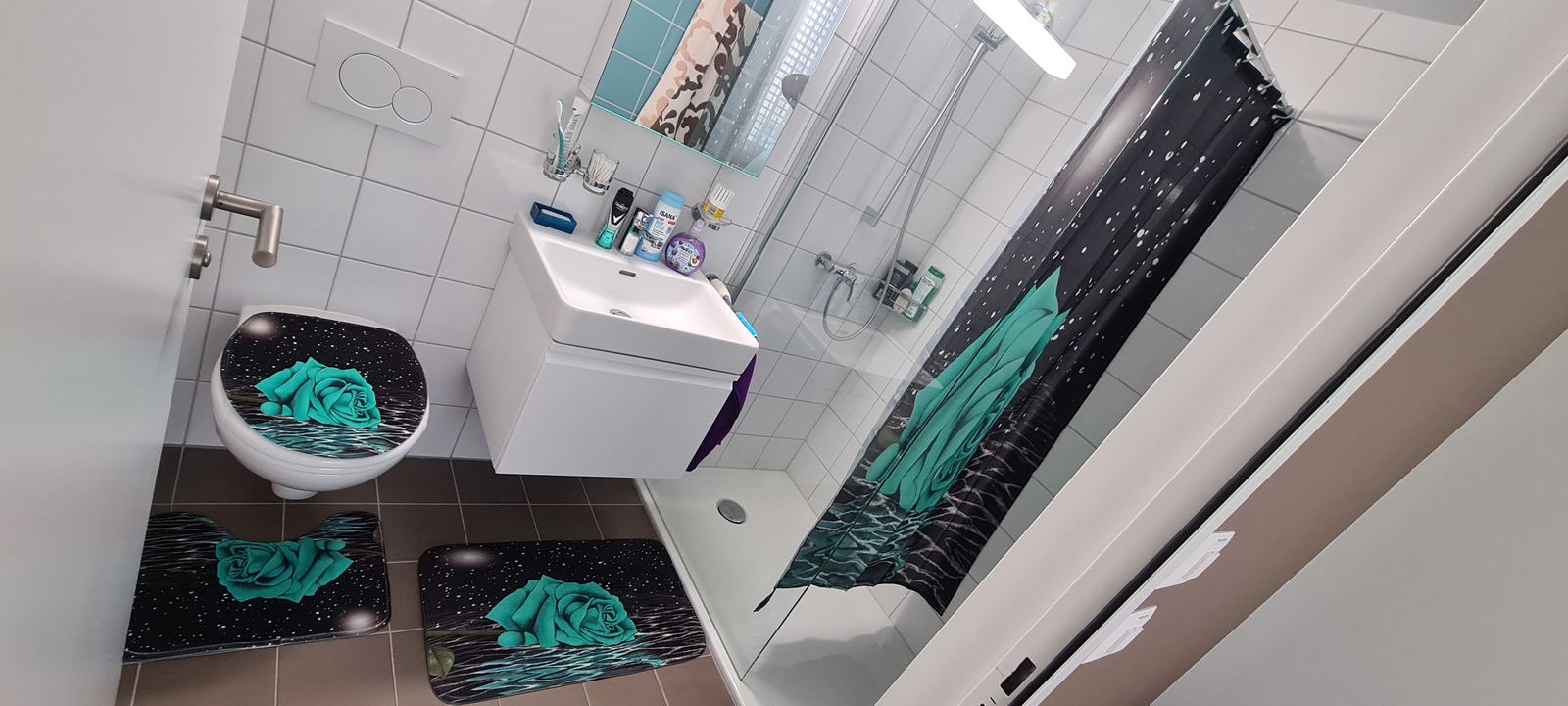 Logement Entier Rennaz 411944