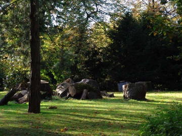 Chambre À Louer Rocquencourt 21492