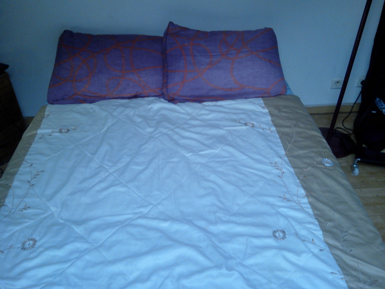 Entire Home Avignon 68132-5