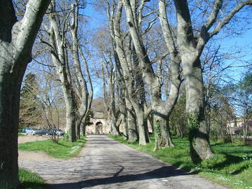 Chambre À Louer Villeneuvette 97963