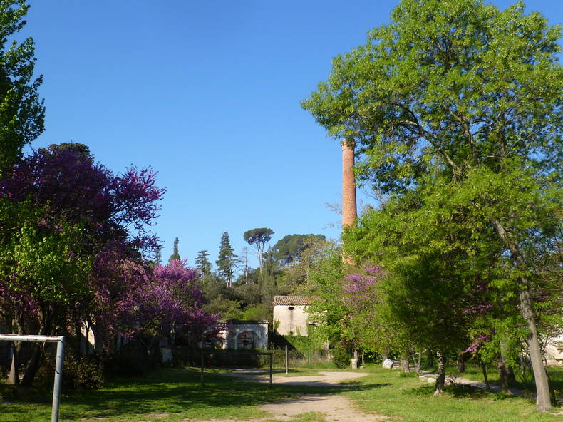 Gastfamilie Villeneuvette 97963-5