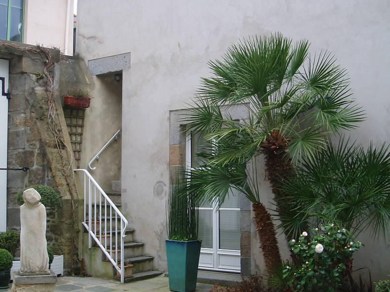 Ganzes Haus Saint-Malo 99098-1