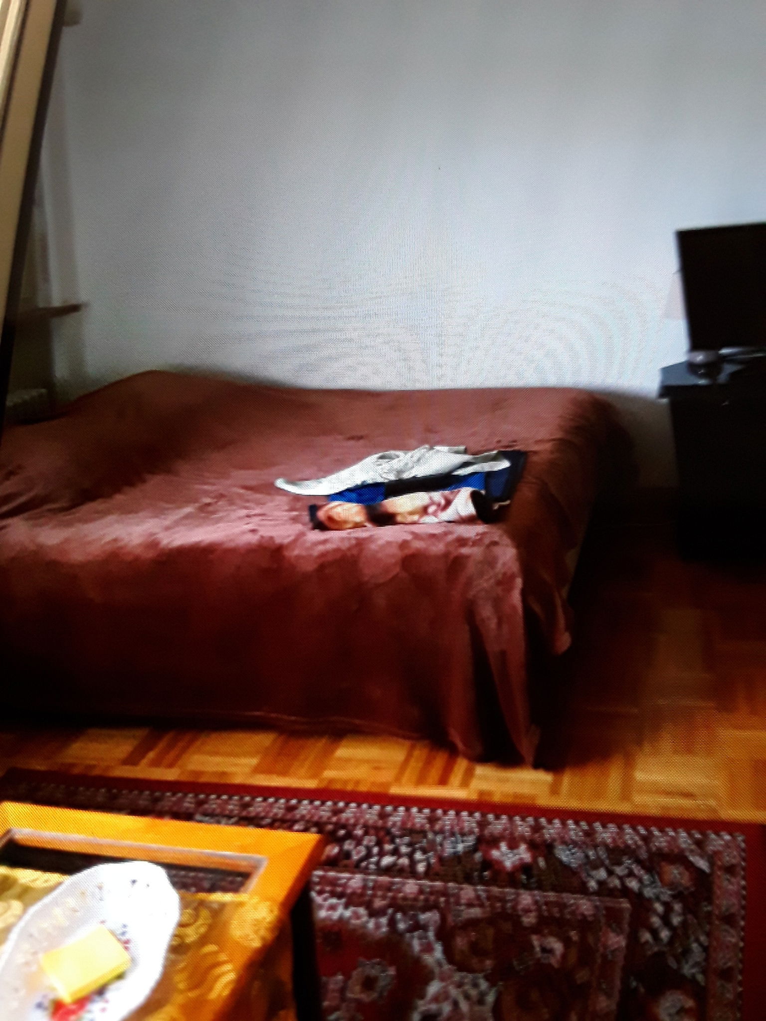 Logement Entier Genève 200275