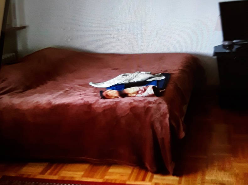 Logement Entier Genève 200275-1