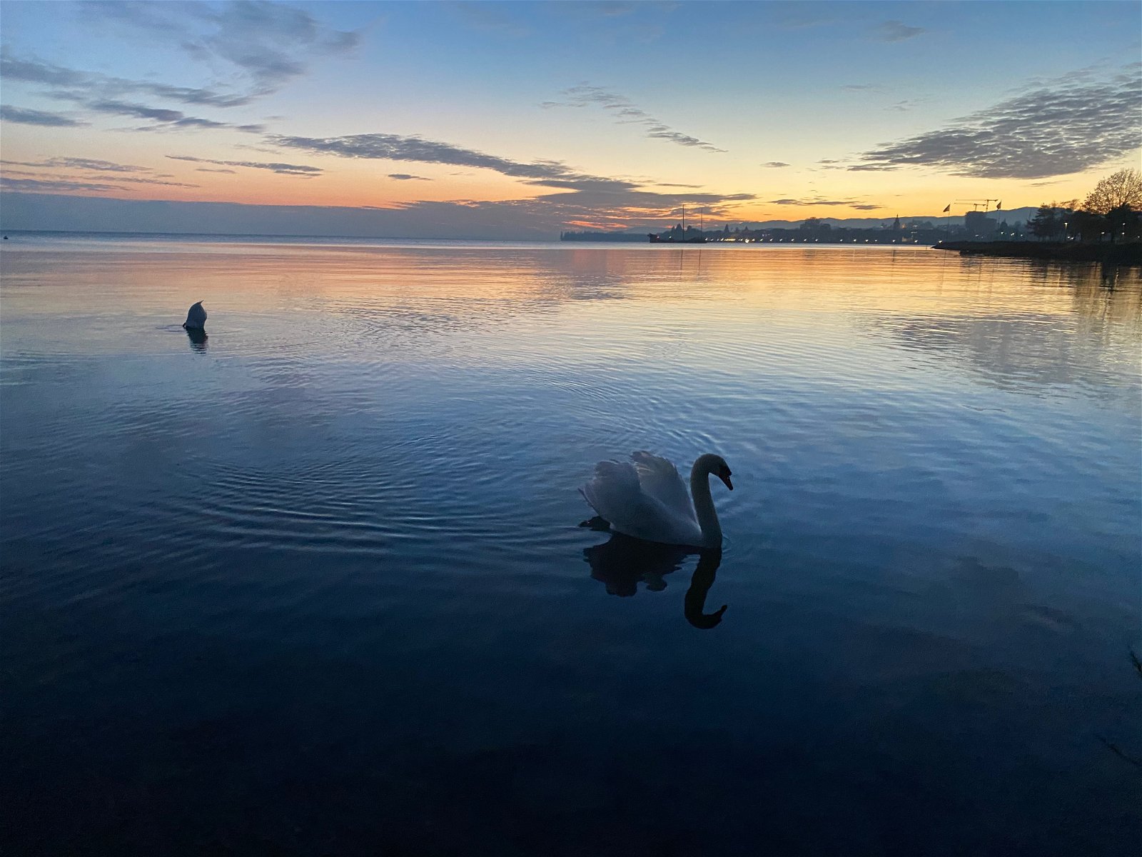 Hemvistelse Préverenges 242775