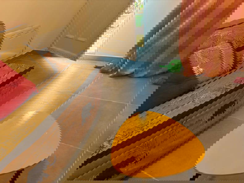 Logement Entier Le Mazeau 404449-4