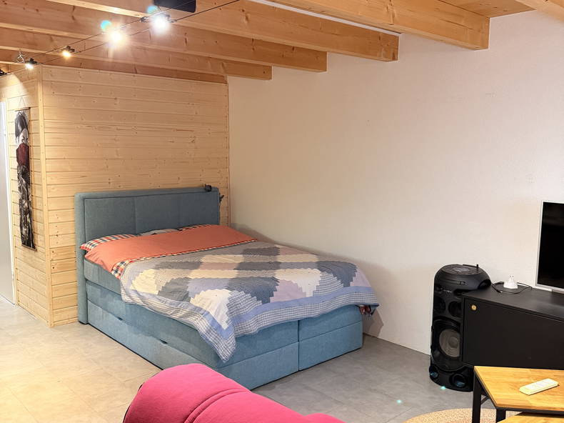 Entire Home Saint-Maurice 666735-5
