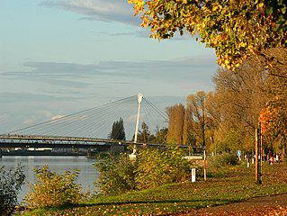 Cały Dom Strasbourg 96005-4