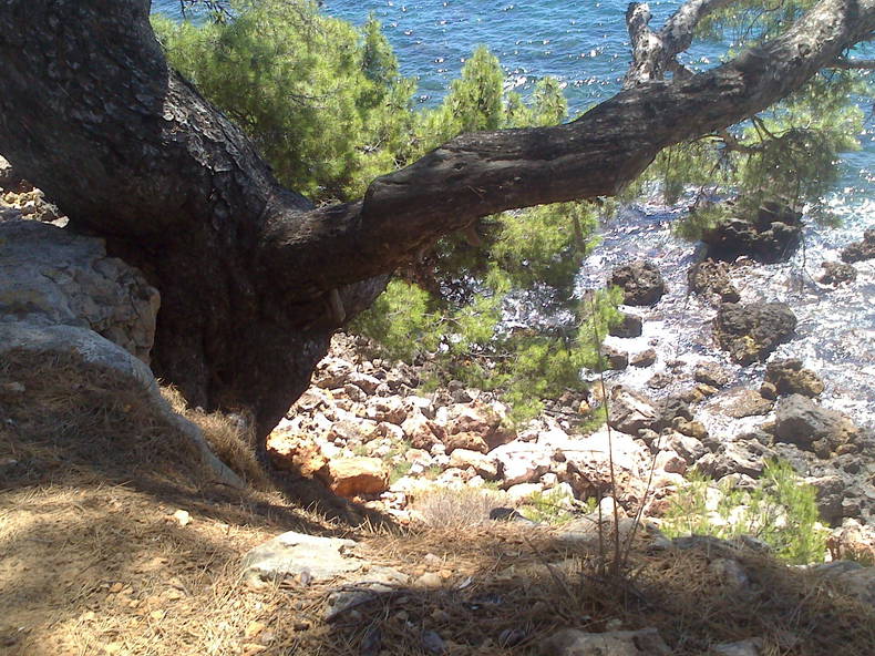 Ganzes Haus Bandol 46326-1