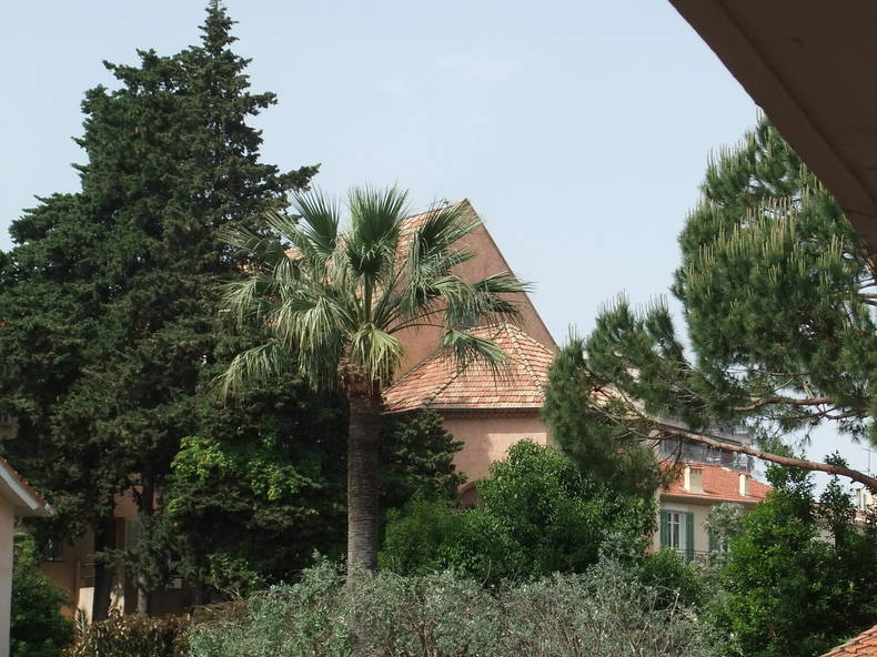 Entire Home Cannes 98354-2