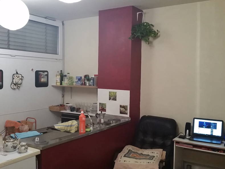 Logement Entier Genève 149832-1