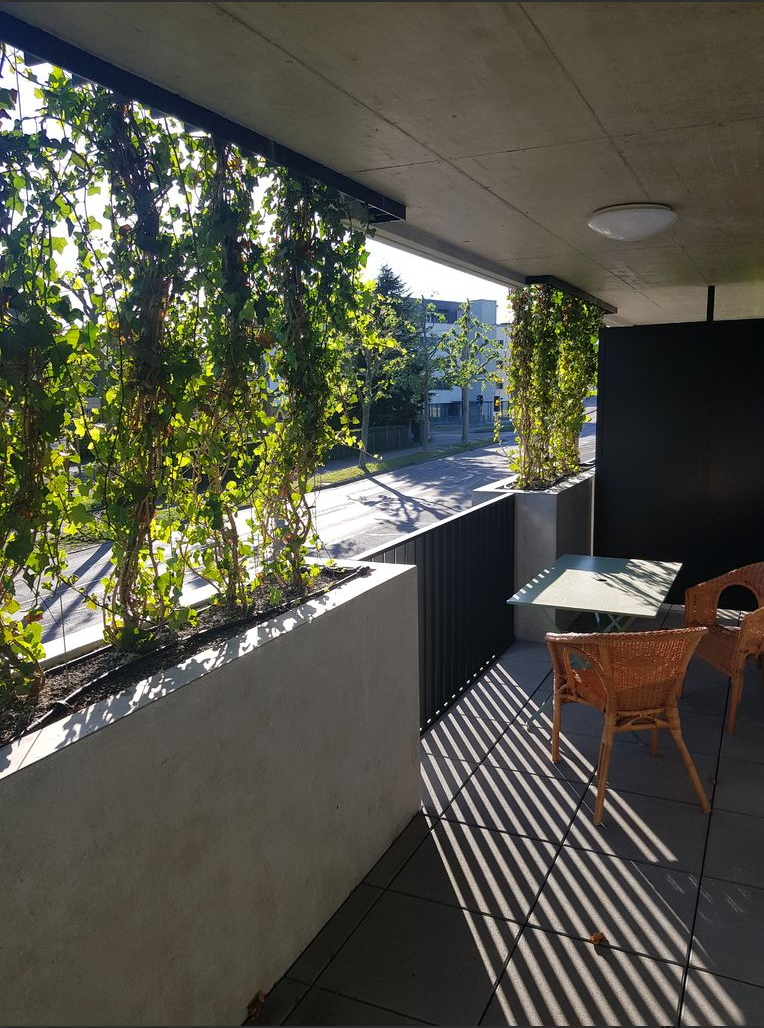 Logement Entier Renens 249049