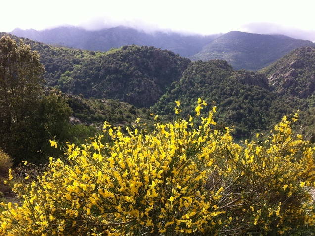 Ganzes Haus Olmiccia 54426-5