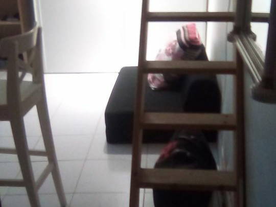 Chambre Chez L'habitant Paris 242010-1