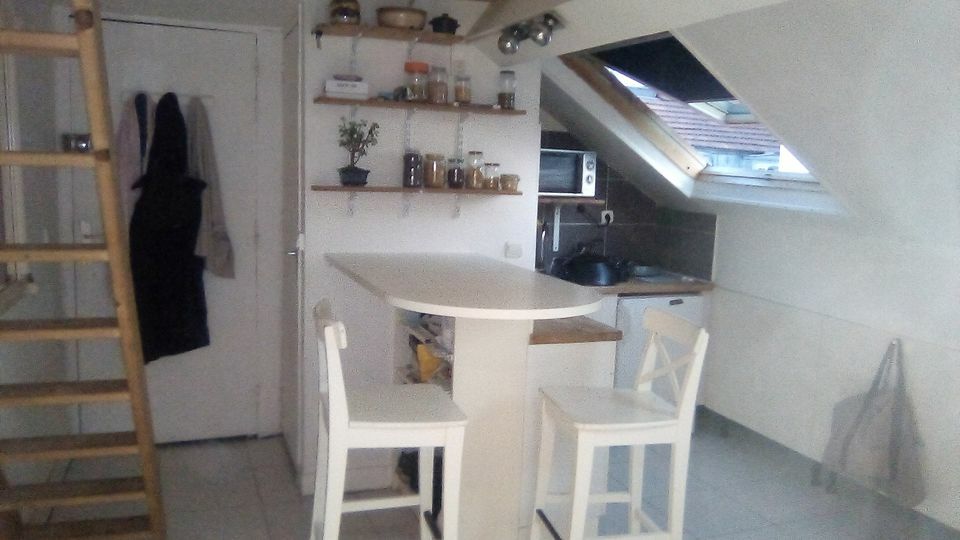 Chambre Chez L'habitant Paris 242010