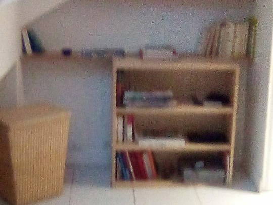 Chambre Chez L'habitant Paris 242010-4