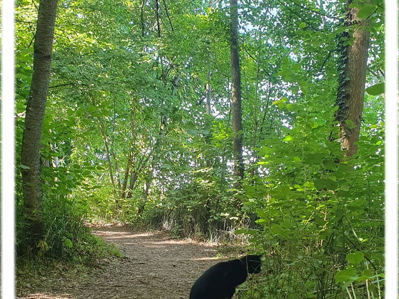 Hele Hjemmet Cheyres-Châbles 646831-3