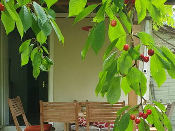 Logement entier à louer à Cheyres-Châbles - photo 5 : balcon-5