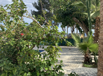 Estudio En Alquiler Alberique 558168