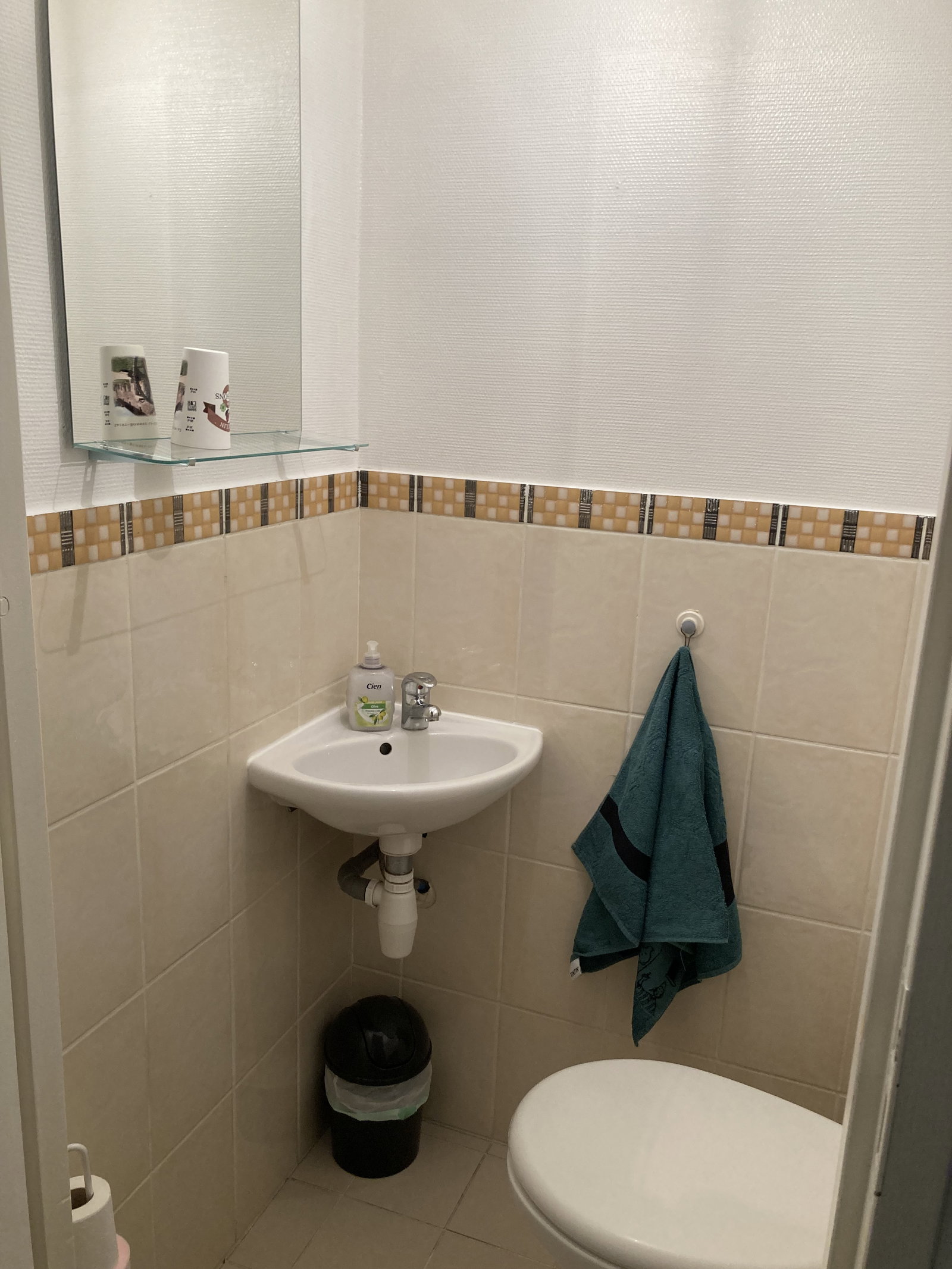 Ganz Haus Lyon 364919