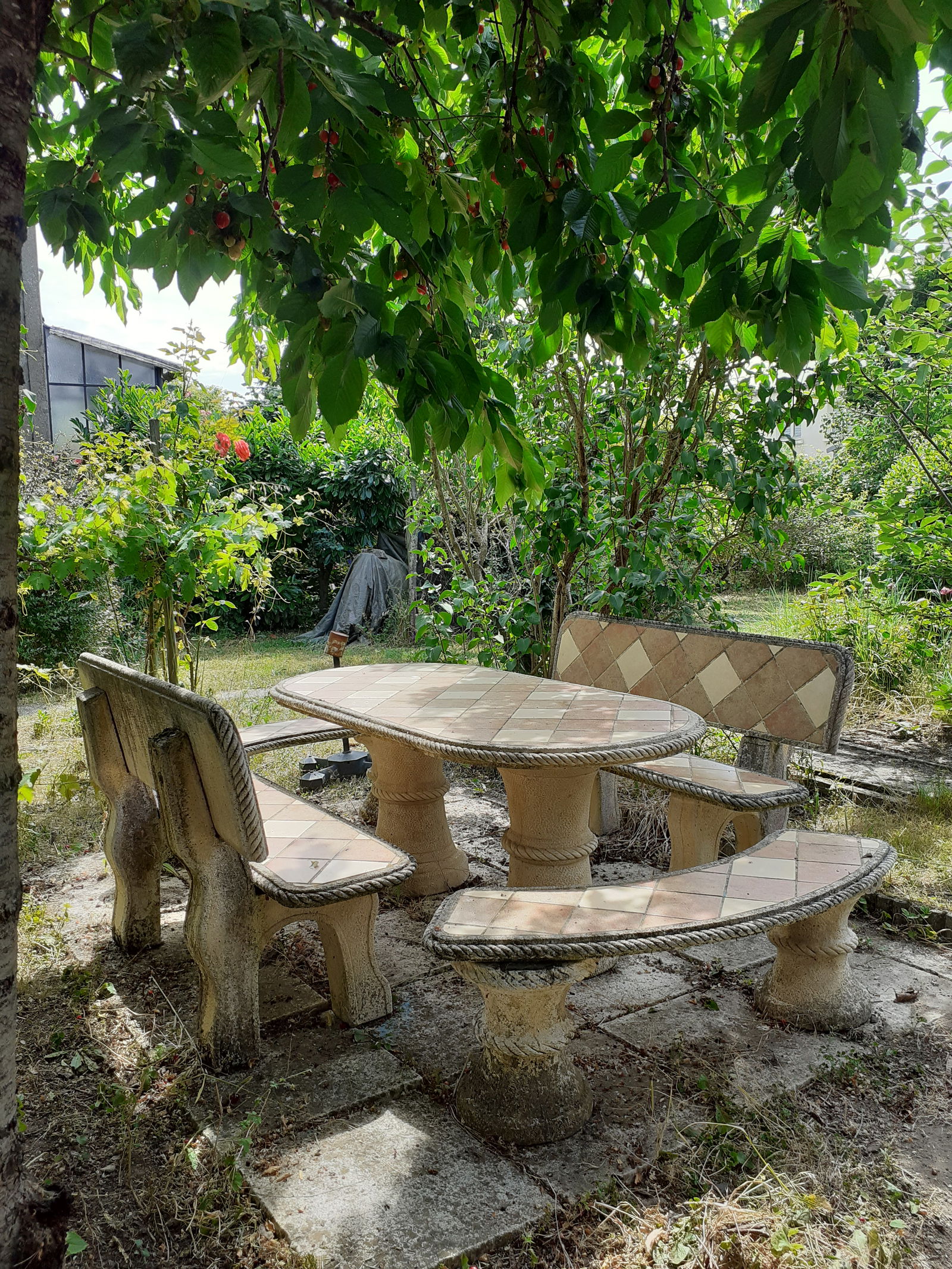 Homestay Tours 268402
