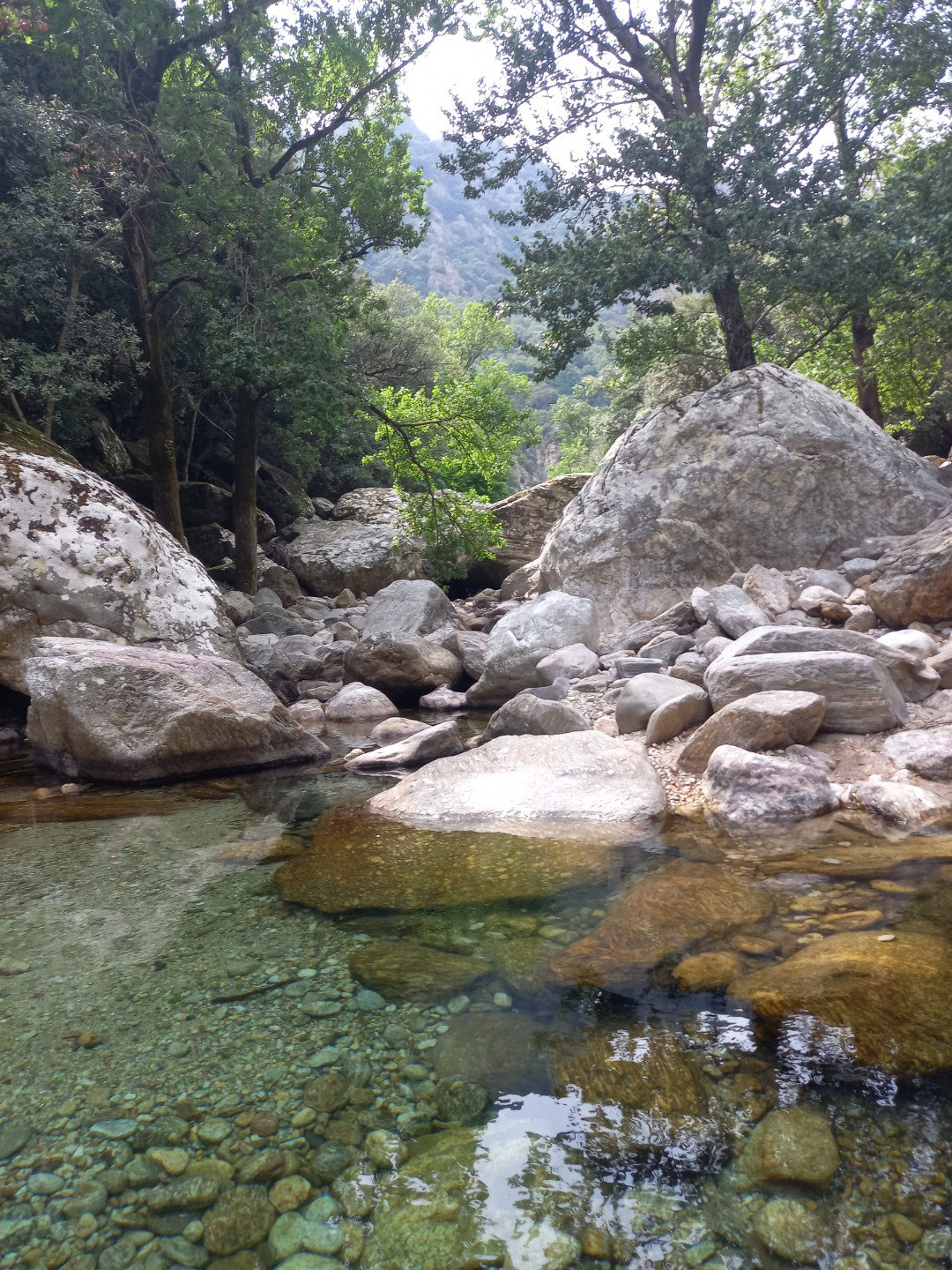 Homestay Les Aires 265320