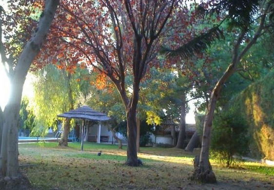 Homestay Dos Hermanas 35064