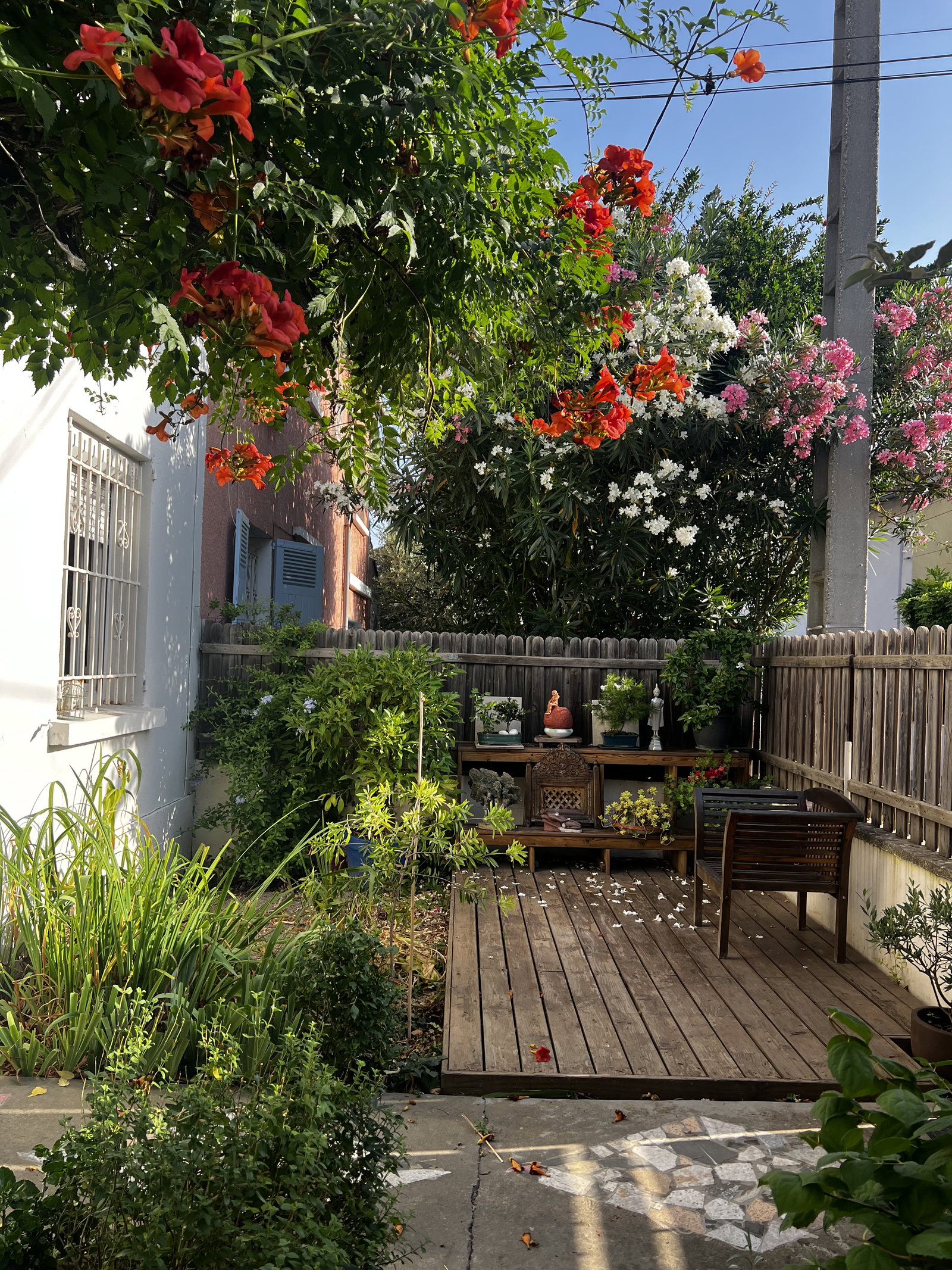Homestay Avignon 170262