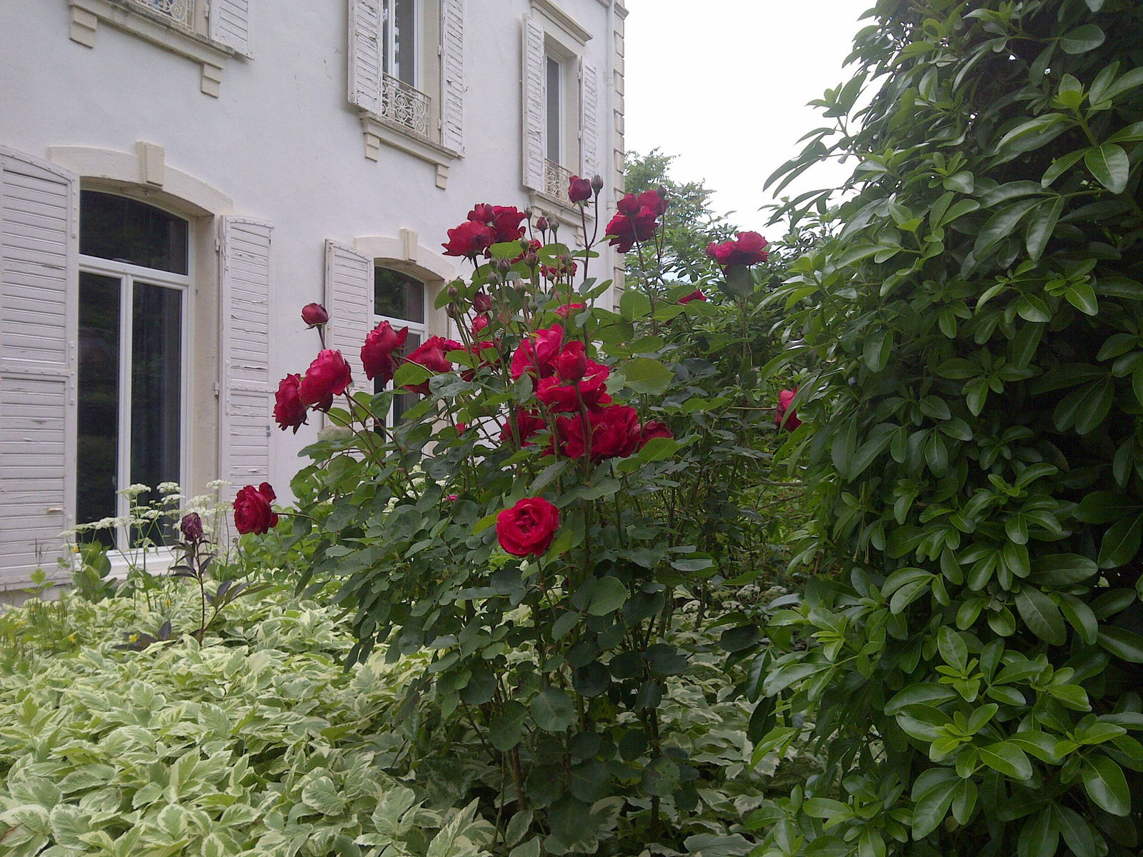 Homestay Vals-les-Bains 112964