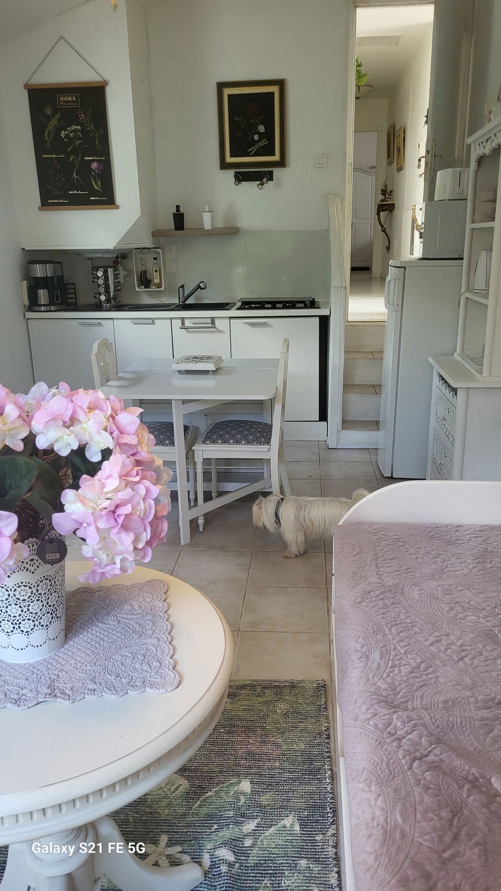 Homestay Les Aires 383592